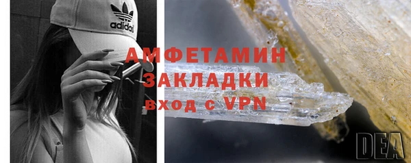 шишки Покачи