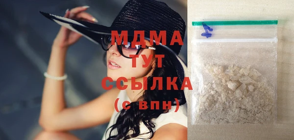 шишки Покачи