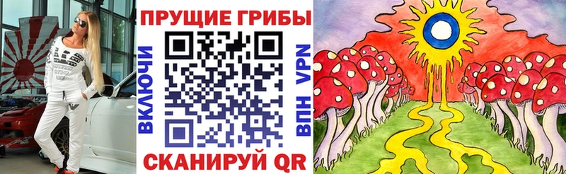 Галлюциногенные грибы Psilocybine cubensis  Каменногорск 