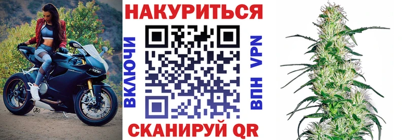 Бошки Шишки конопля  наркота  Каменногорск 